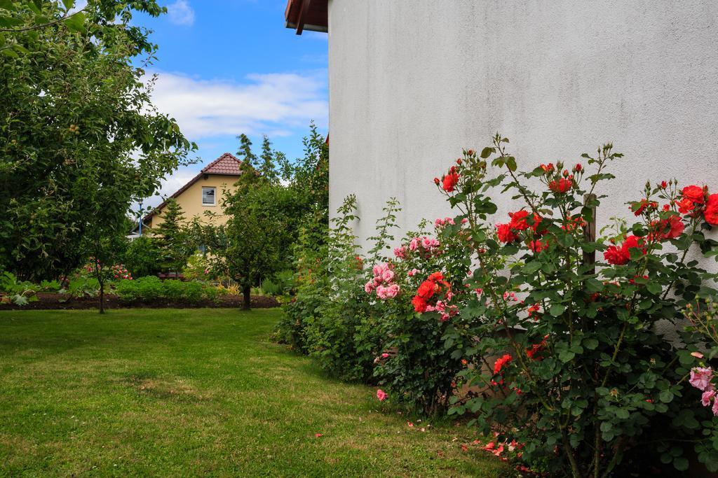Hotel-Pension Am Rosarium Sangerhausen Exterior photo