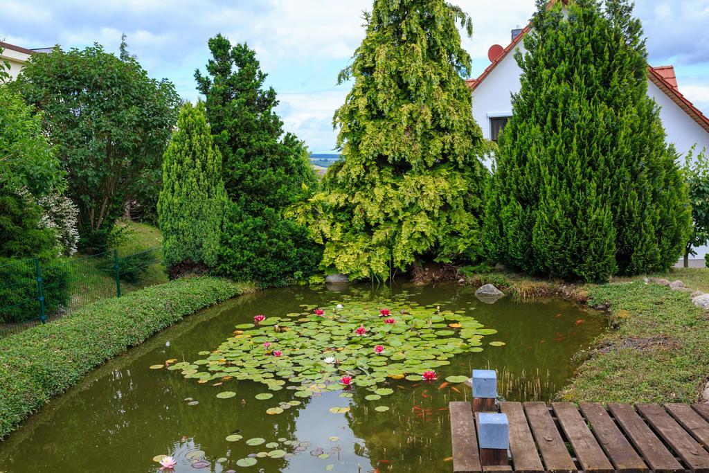 Hotel-Pension Am Rosarium Sangerhausen Exterior photo