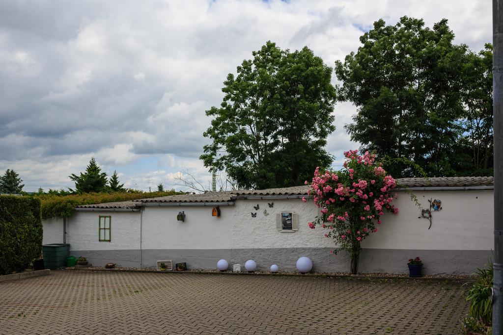 Hotel-Pension Am Rosarium Sangerhausen Exterior photo
